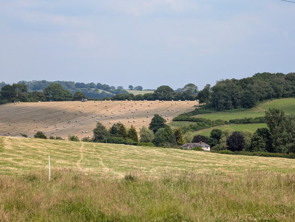 Hay-making at Owletts Farm